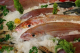 Hal-Udvar